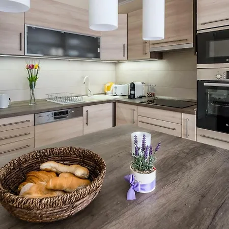 Ferienhaus New Baricska Apartman